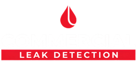 Leak Detection in Mudgeeraba