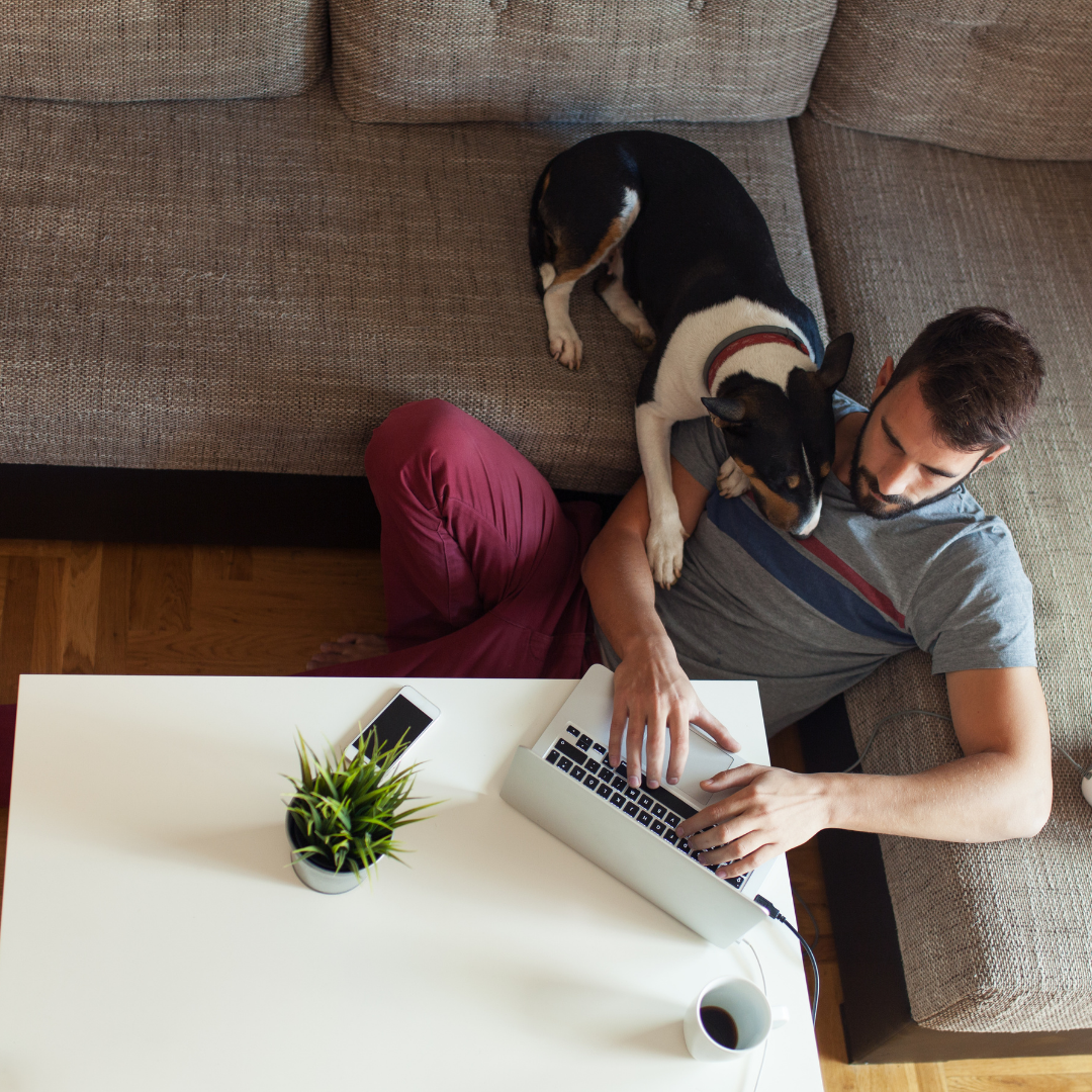 A man is sitting on a couch with his dog and using a laptop.