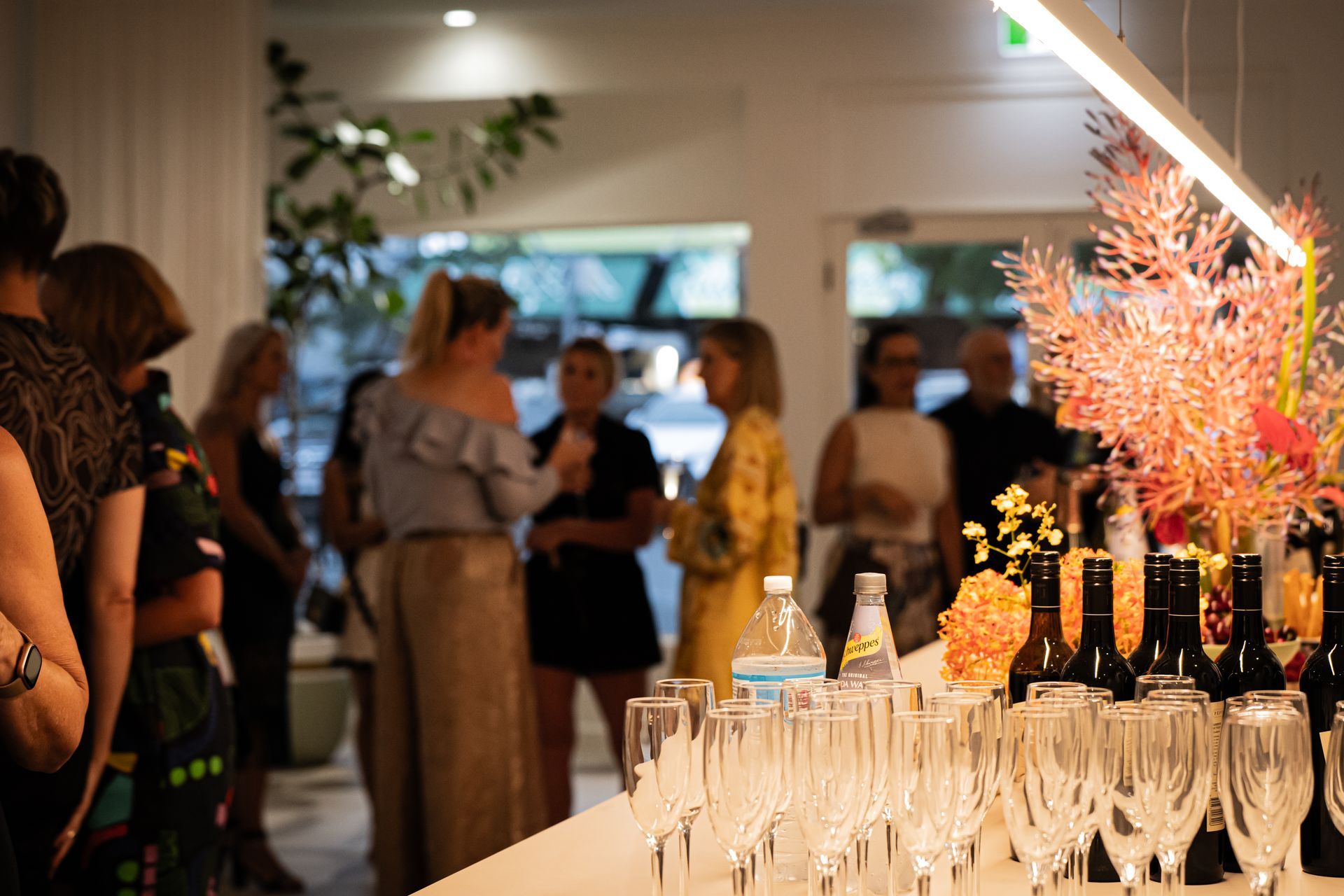 Exhibition event atmosphere at Studio 29 Cairns with guests and artwork