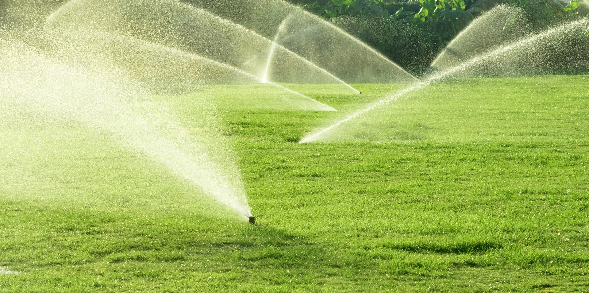 Sprinkler Blowout Services