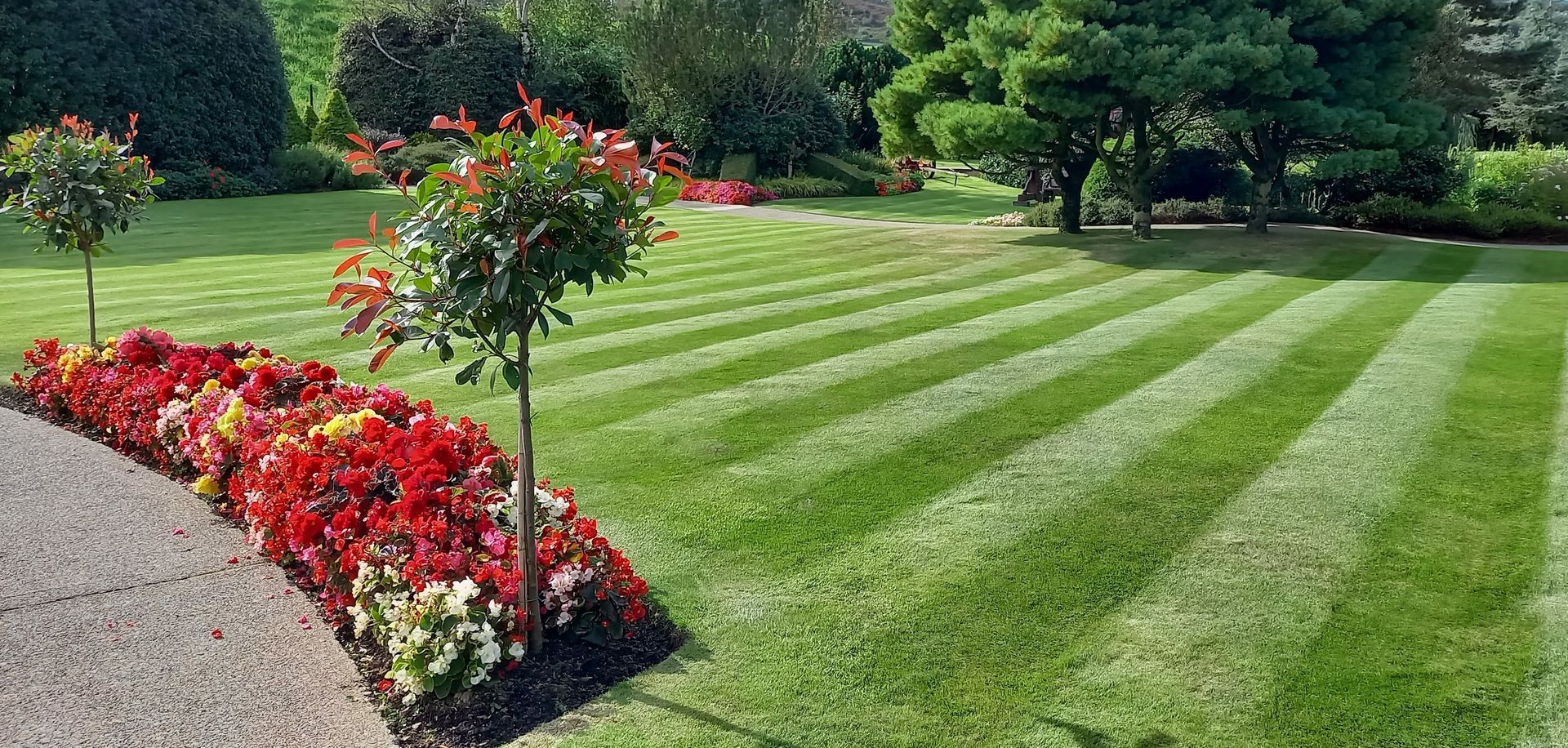 Comprehensive Lawn Maintenance