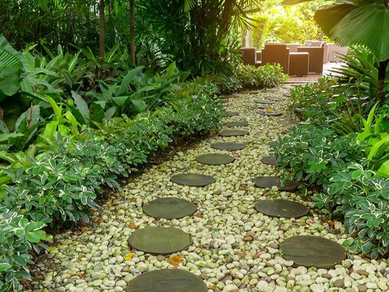 A stone path in the middle of a lush green garden.