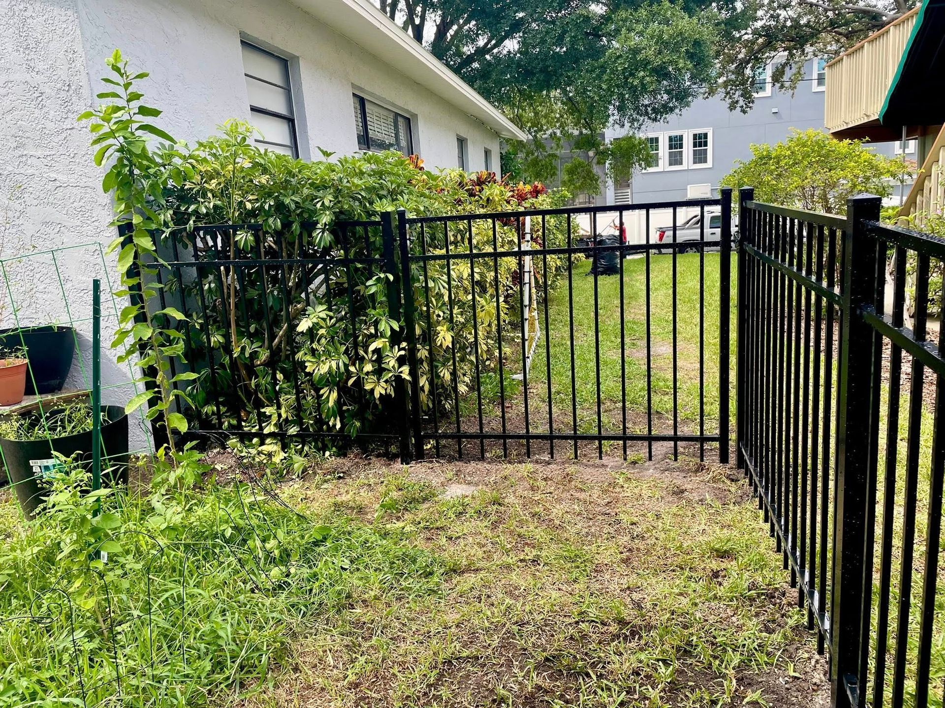 Black metal fence encloses a small, grassy yard next to a light-colored house.