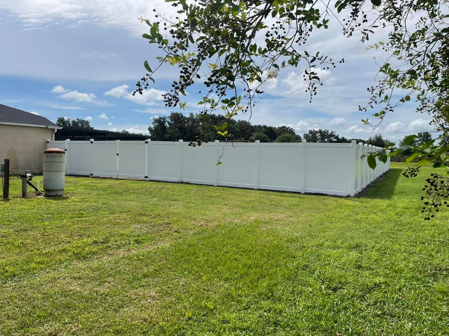 A white vinyl fence encloses a grassy backyard on a sunny day; visible trees and blue sky.