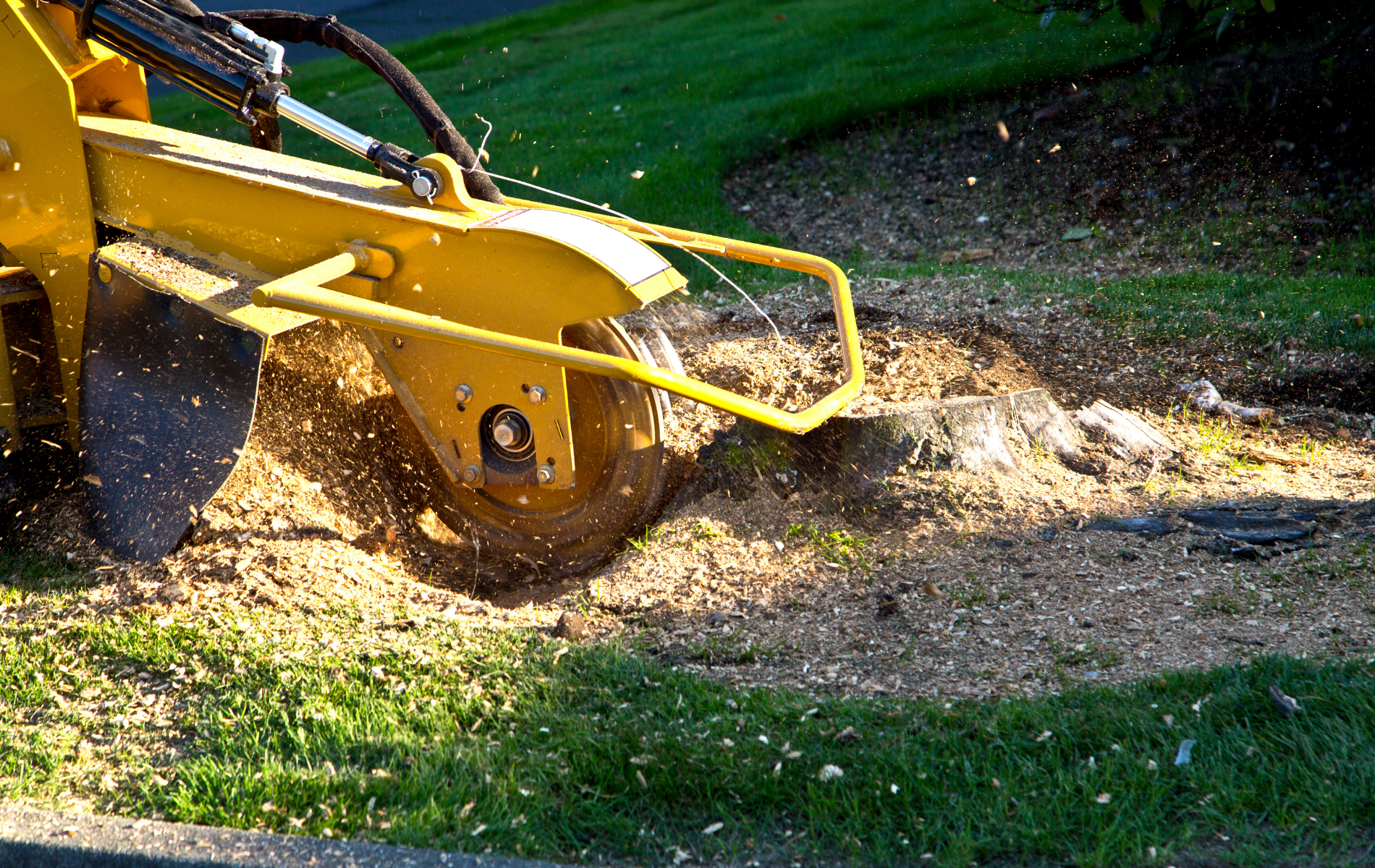 Yellow stump grinder, grinding a tree stump in grass.