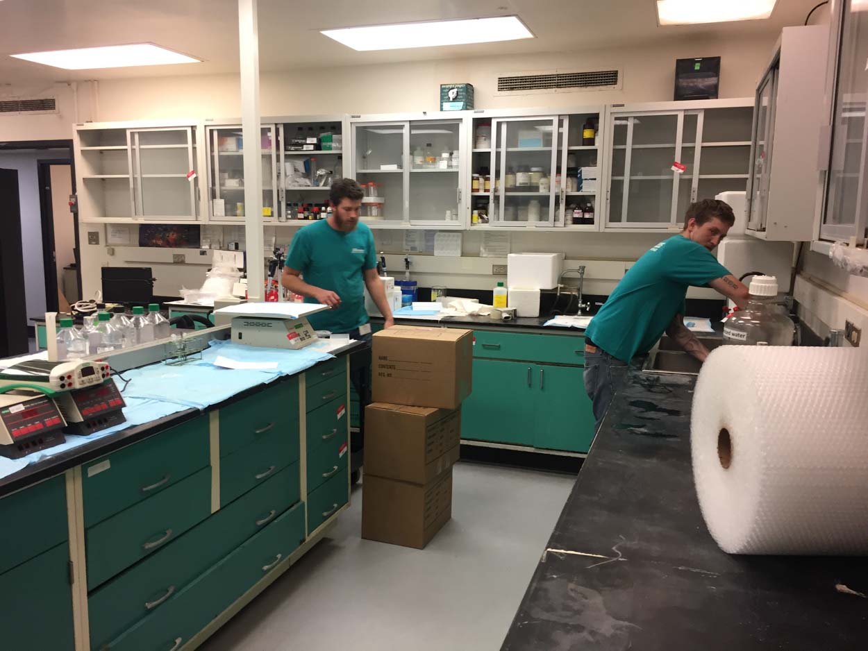 Two men are working in a lab with a roll of paper towels on the counter