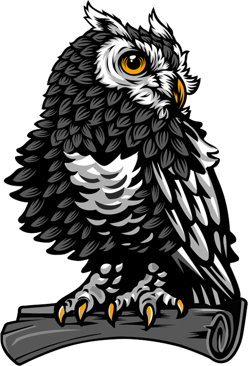 Owl with grey and white feathers perched on a branch; looking to the right.