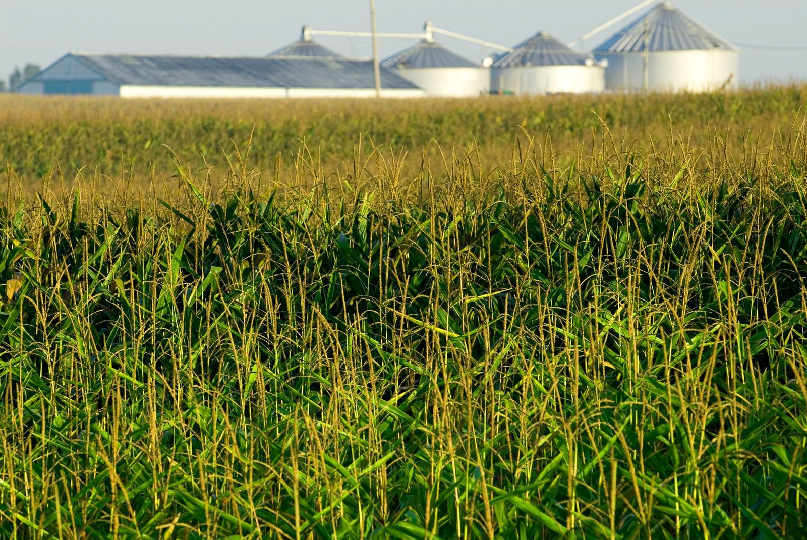 A man is shaking hands with another man while sitting at a table.