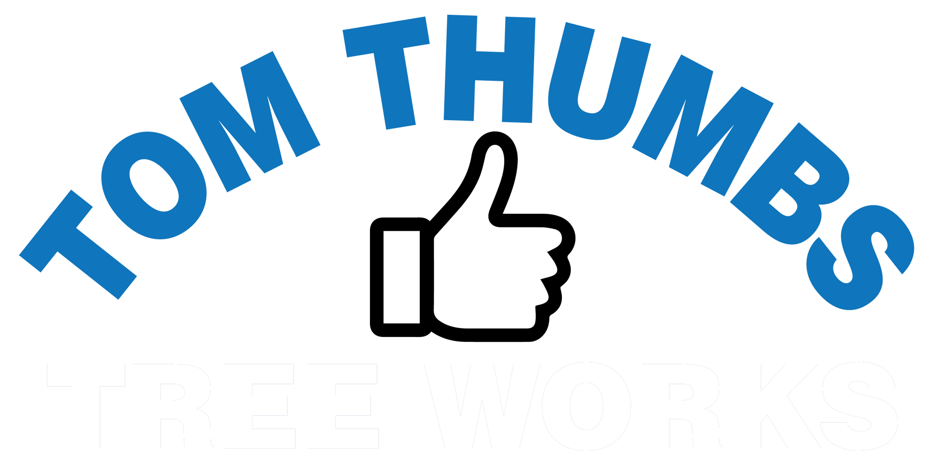 Arborist In Moreton Bay
