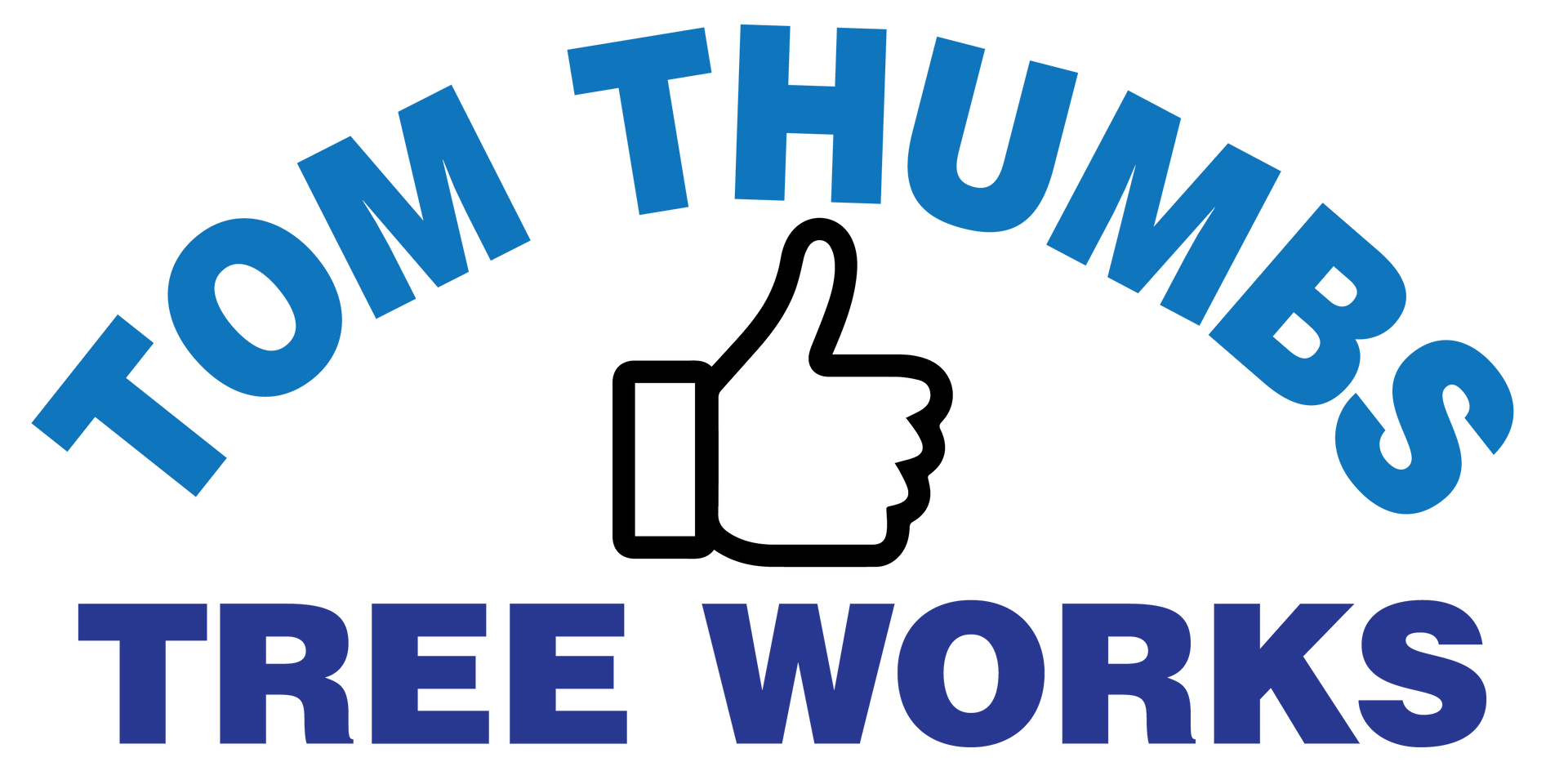 Arborist In Moreton Bay