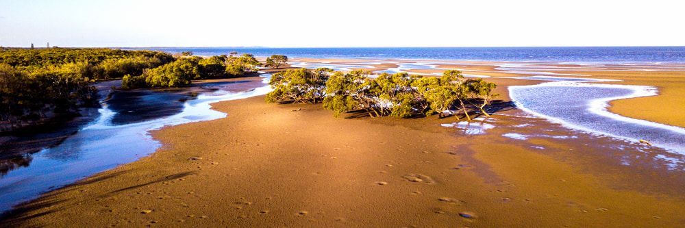 An Aerial View Of A Beach With A River Running Through It — Tom Thumbs Tree Works In Beachmere, QLD