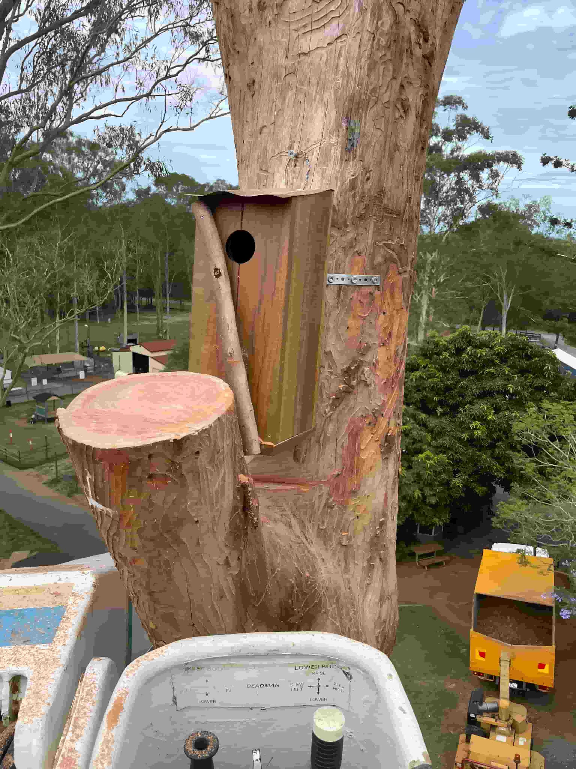 A Tree Stump Is Being Removed From A Tree By A Crane — Tom Thumbs Tree Works In Bellmere, QLD