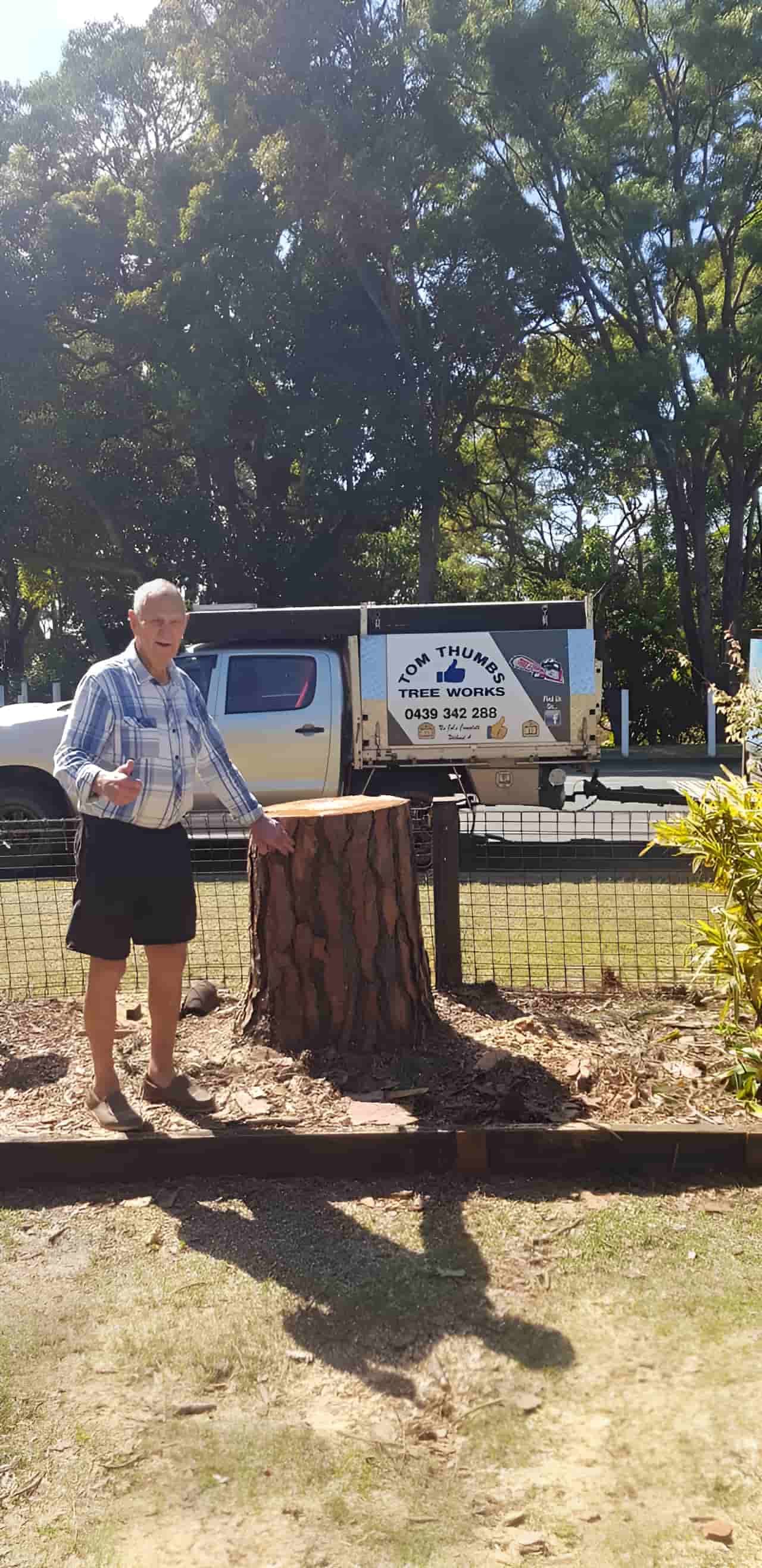 A Man Is Standing Next To A Tree Stump In A Park — Tom Thumbs Tree Works In Burpengary, QLD