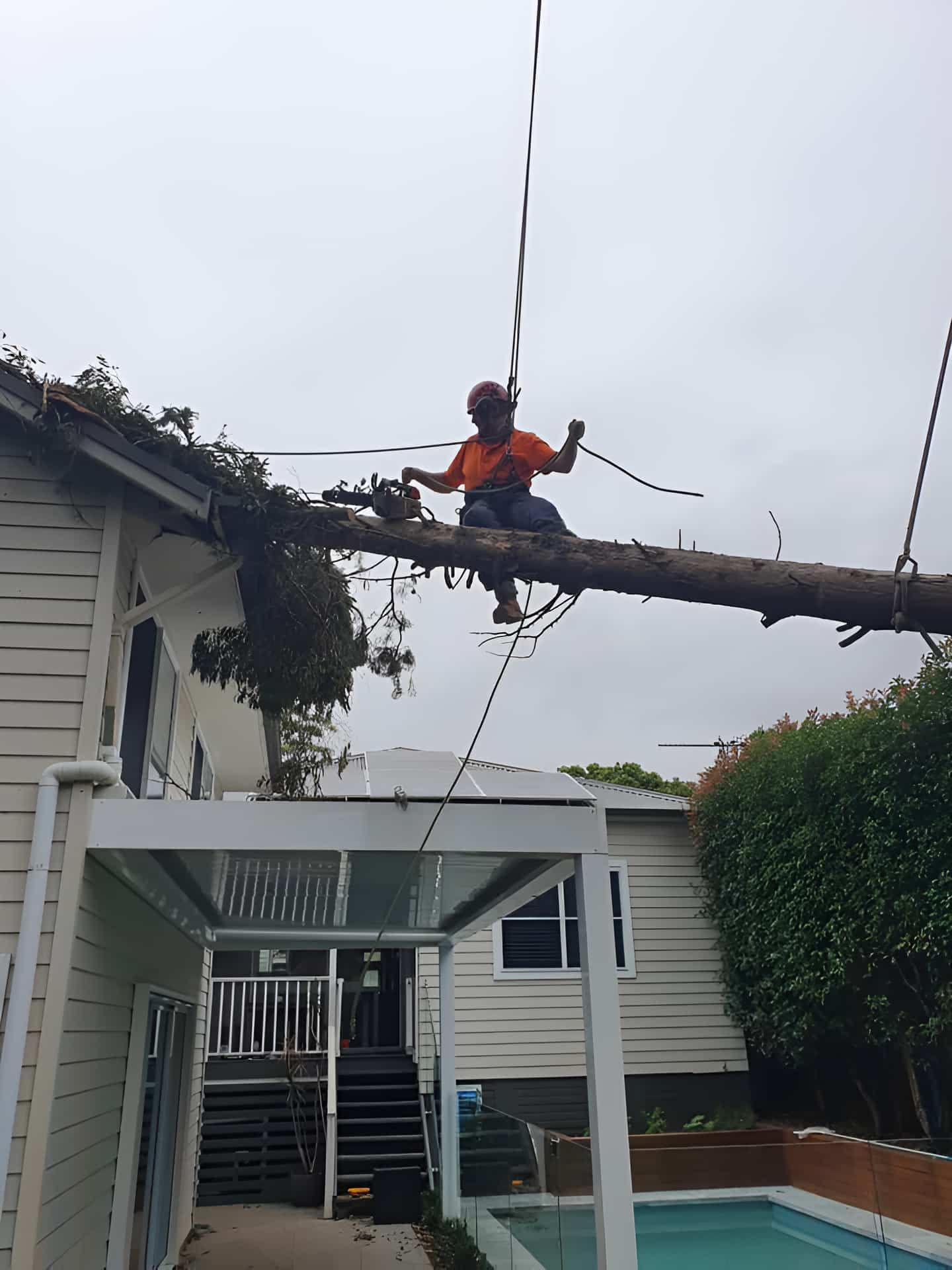 A Man Is Sitting On A Tree Branch In Front Of A House — Tom Thumbs Tree Works In Burpengary, QLD