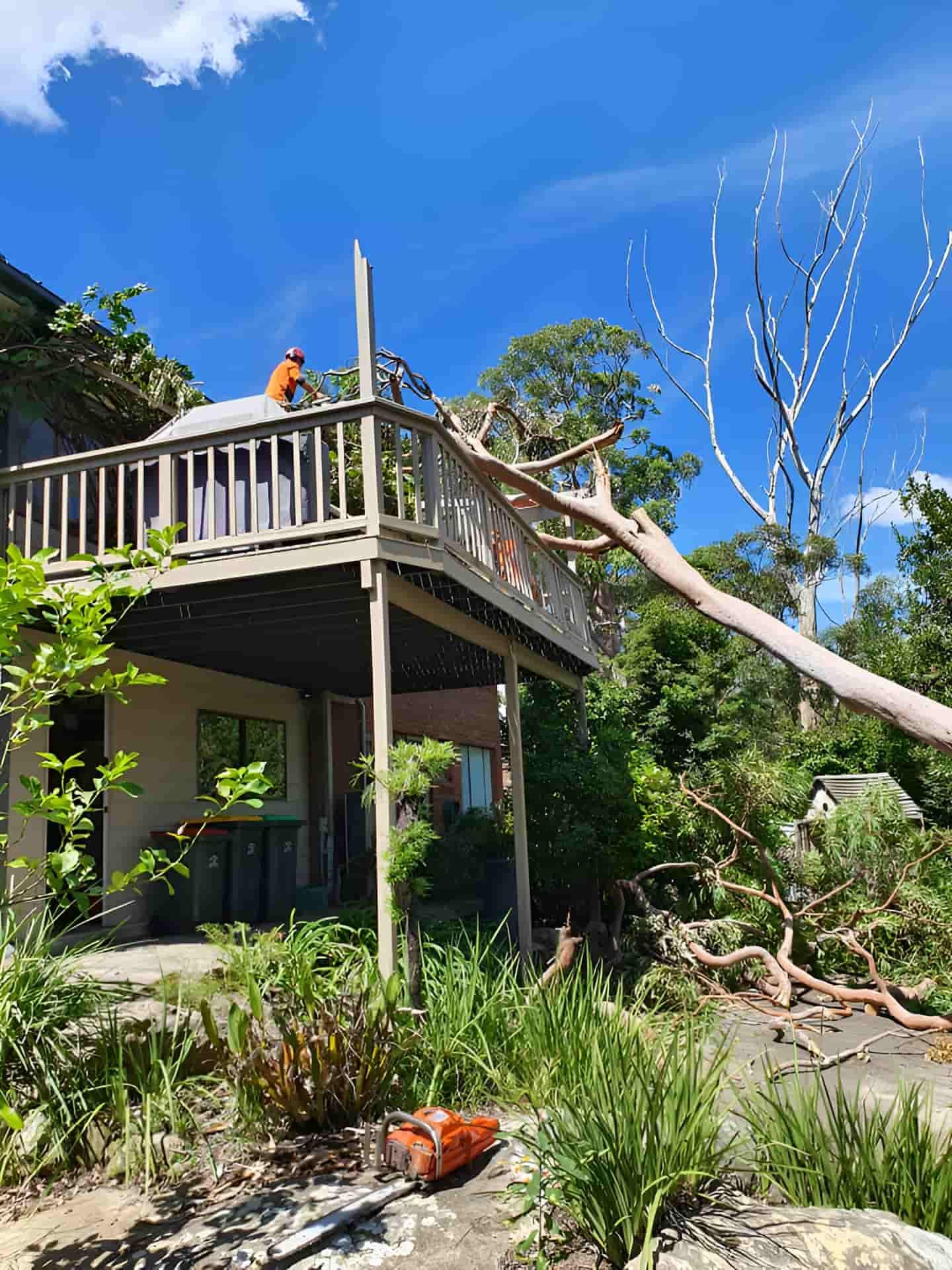 A Tree Has Fallen On The Deck Of A House — Tom Thumbs Tree Works In Kilcoy, QLD