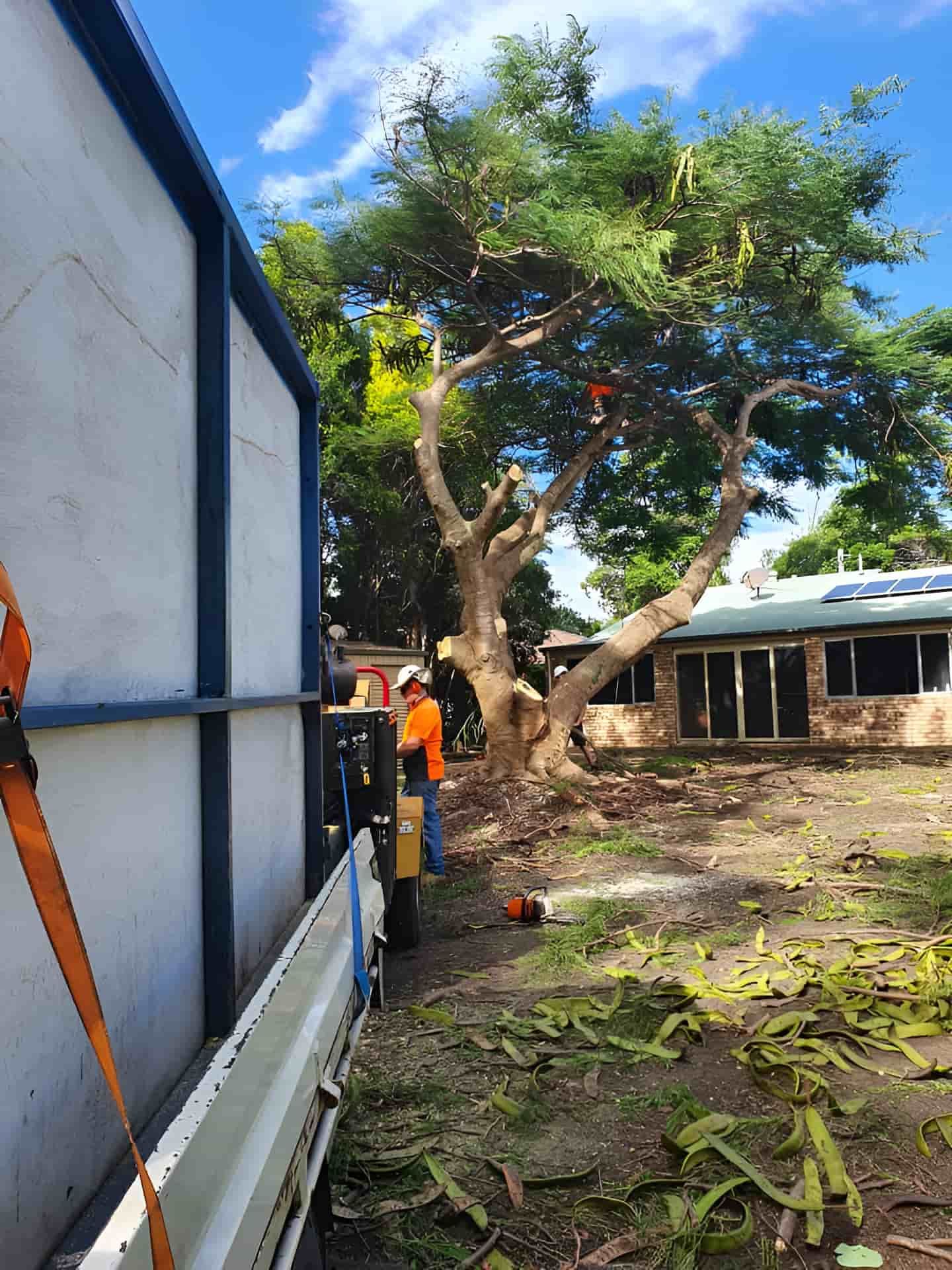 A Man Is Cutting Down A Tree In Front Of A House — Tom Thumbs Tree Works In Ningi, QLD