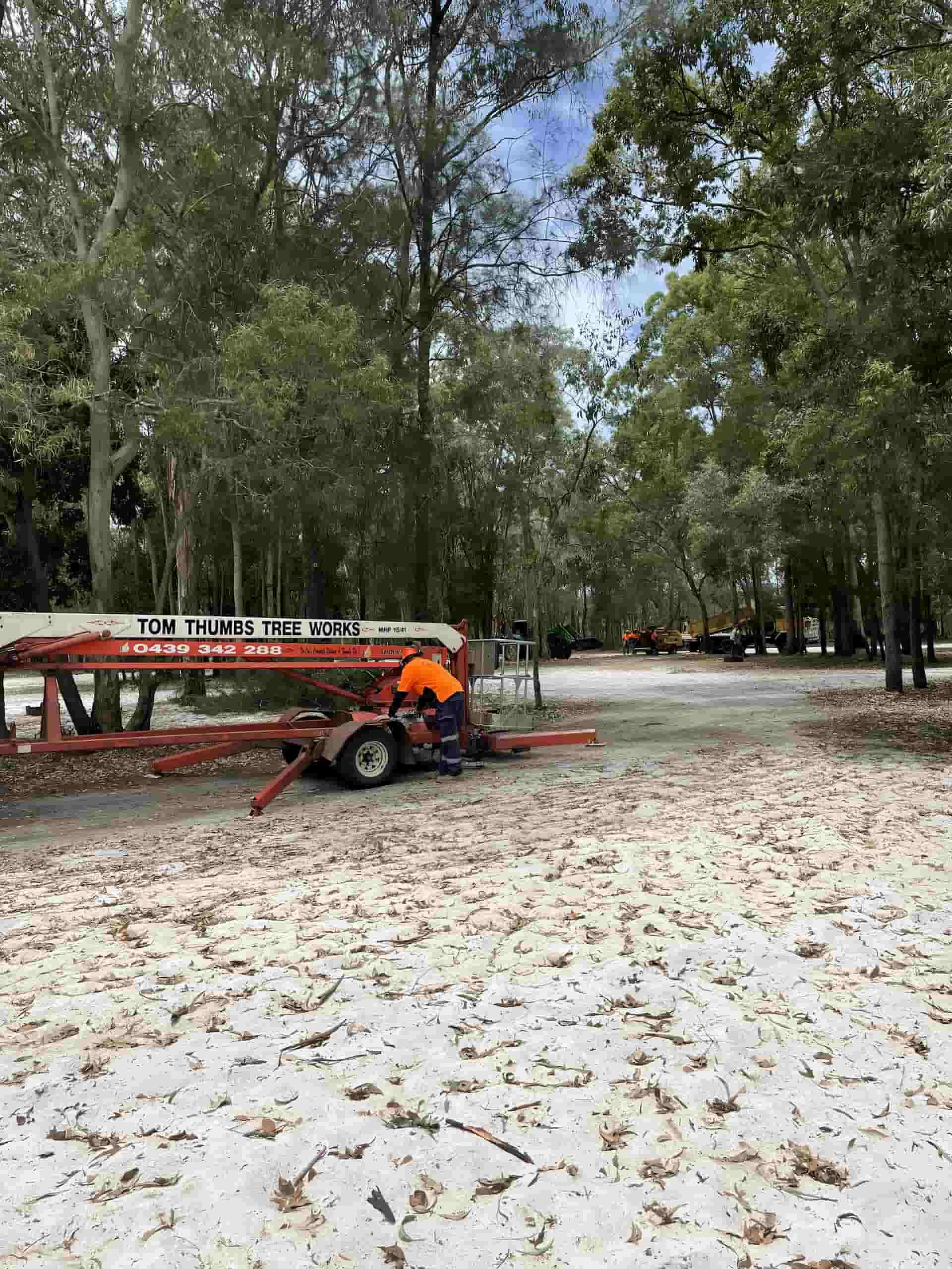 A Man Is Working On A Crane In A Parking Lot Covered In Leaves — Tom Thumbs Tree Works In Donnybrook, QLD