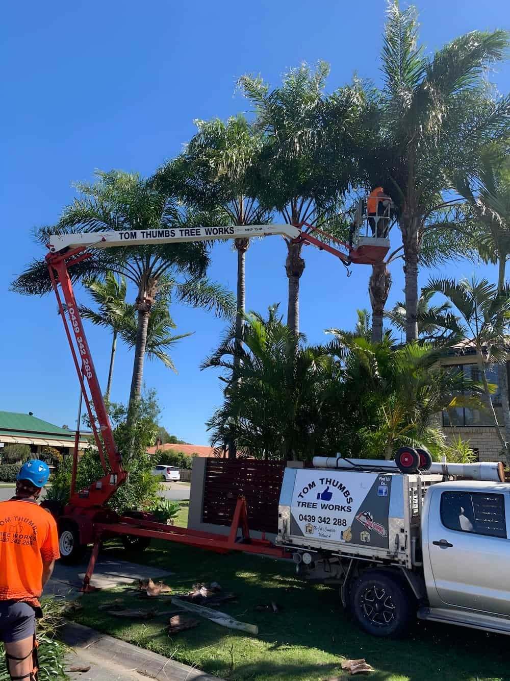 A Man Is Standing Next To A Truck With A Crane Attached To It — Tom Thumbs Tree Works In Ningi, QLD