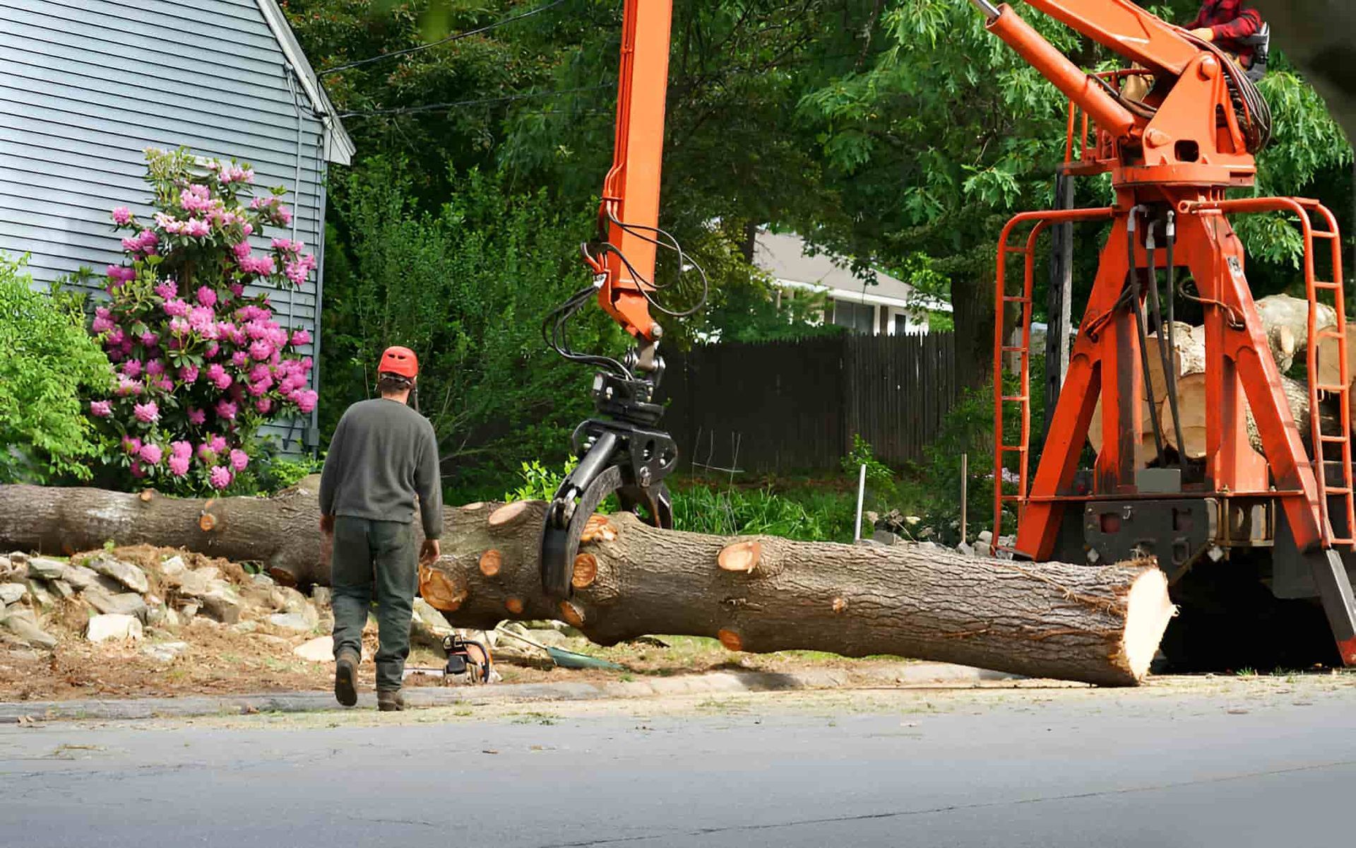 A Man Is Standing Next To A Large Log Being Lifted By A Crane — Tom Thumbs Tree Works In Deception Bay, QLD