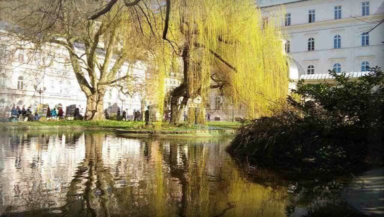 Vitebsk Belarus Photos