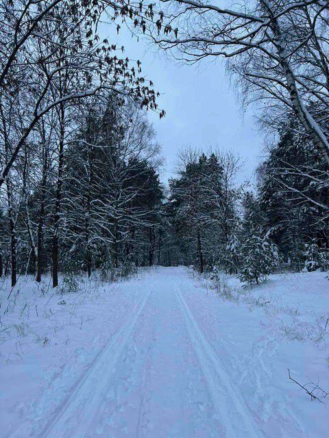 Belarus Women Newsletter