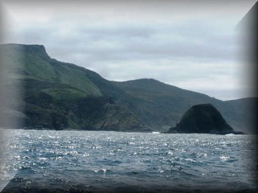 Russian Women For Marriage Australia