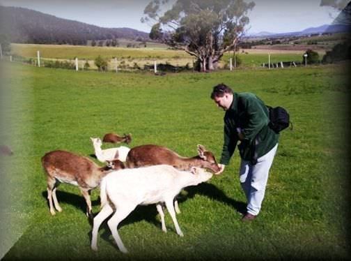 Russian Women For Marriage Australia