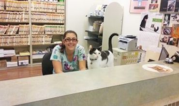 Cat hot sale care clinic