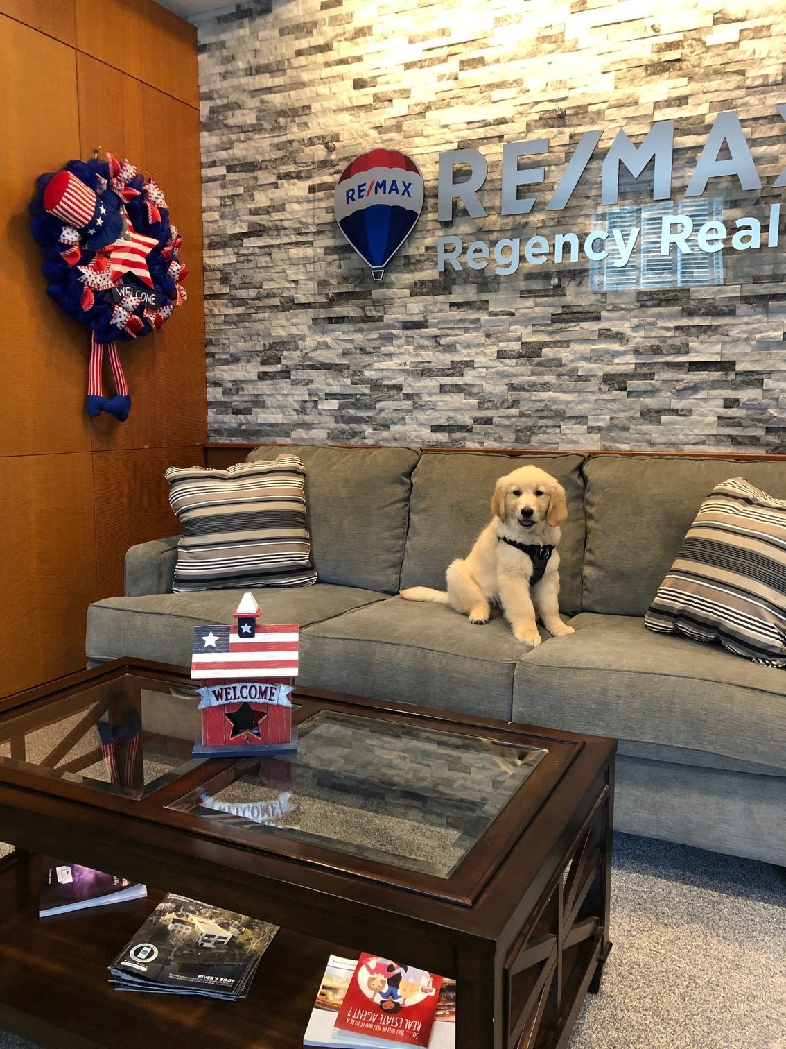 A golden retriever puppy sits on a couch in a RE/MAX office, next to pillows and a decorative patriotic wreath. A golden retriever puppy sits on a couch in a RE/MAX office, next to pillows and a decorative patriotic wreath.