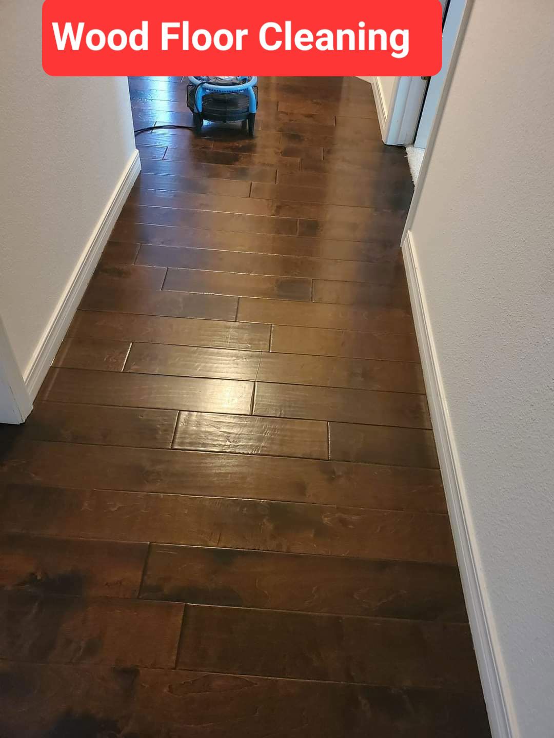 A wood floor is being cleaned in a hallway