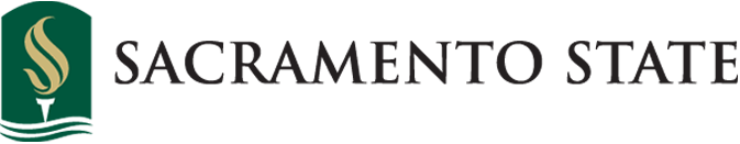 The dns development logo is white on a black background.