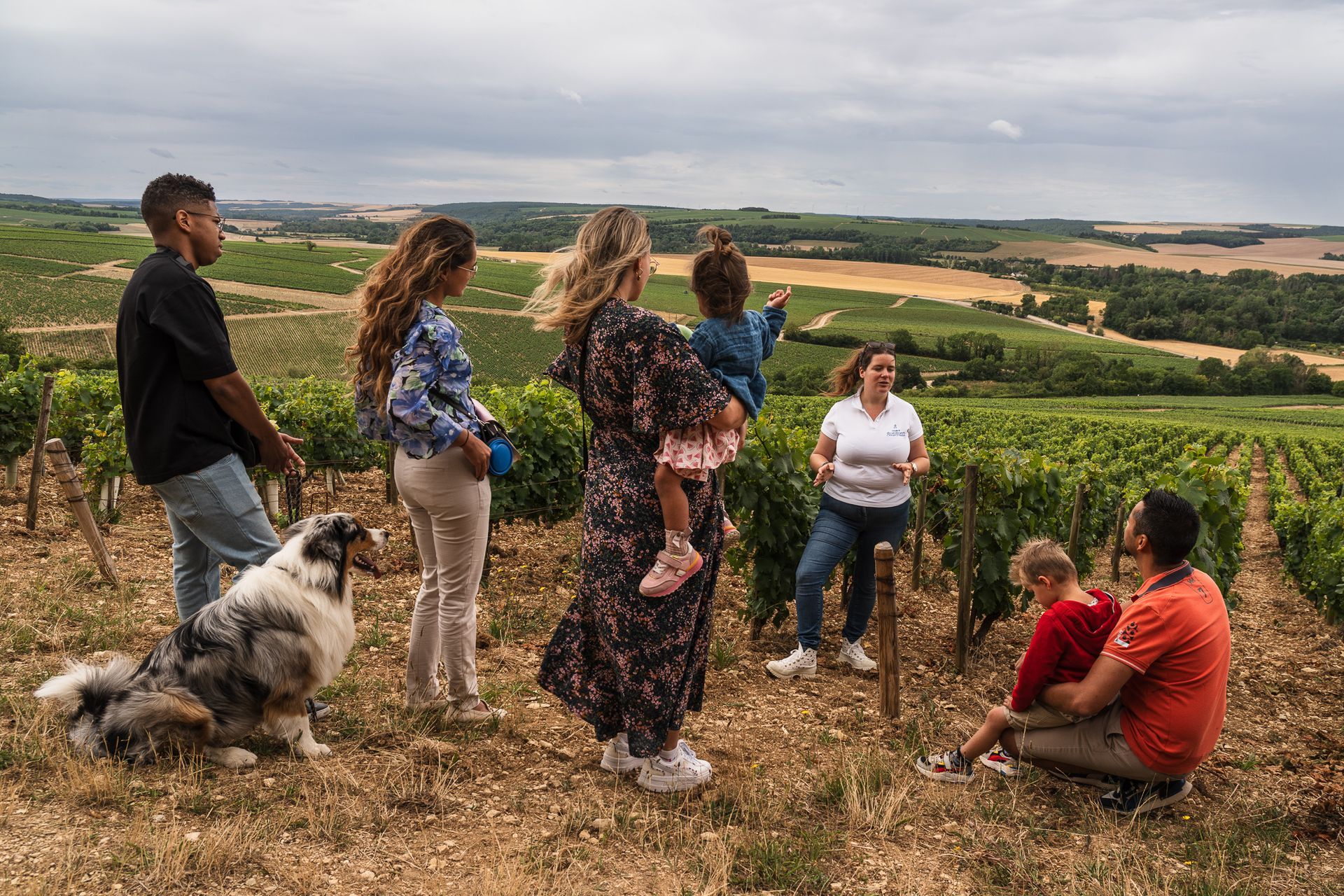 Un groupe de personnes et un chien se tiennent dans un vignoble, contemplant les collines ondulantes sous un ciel nuageux.