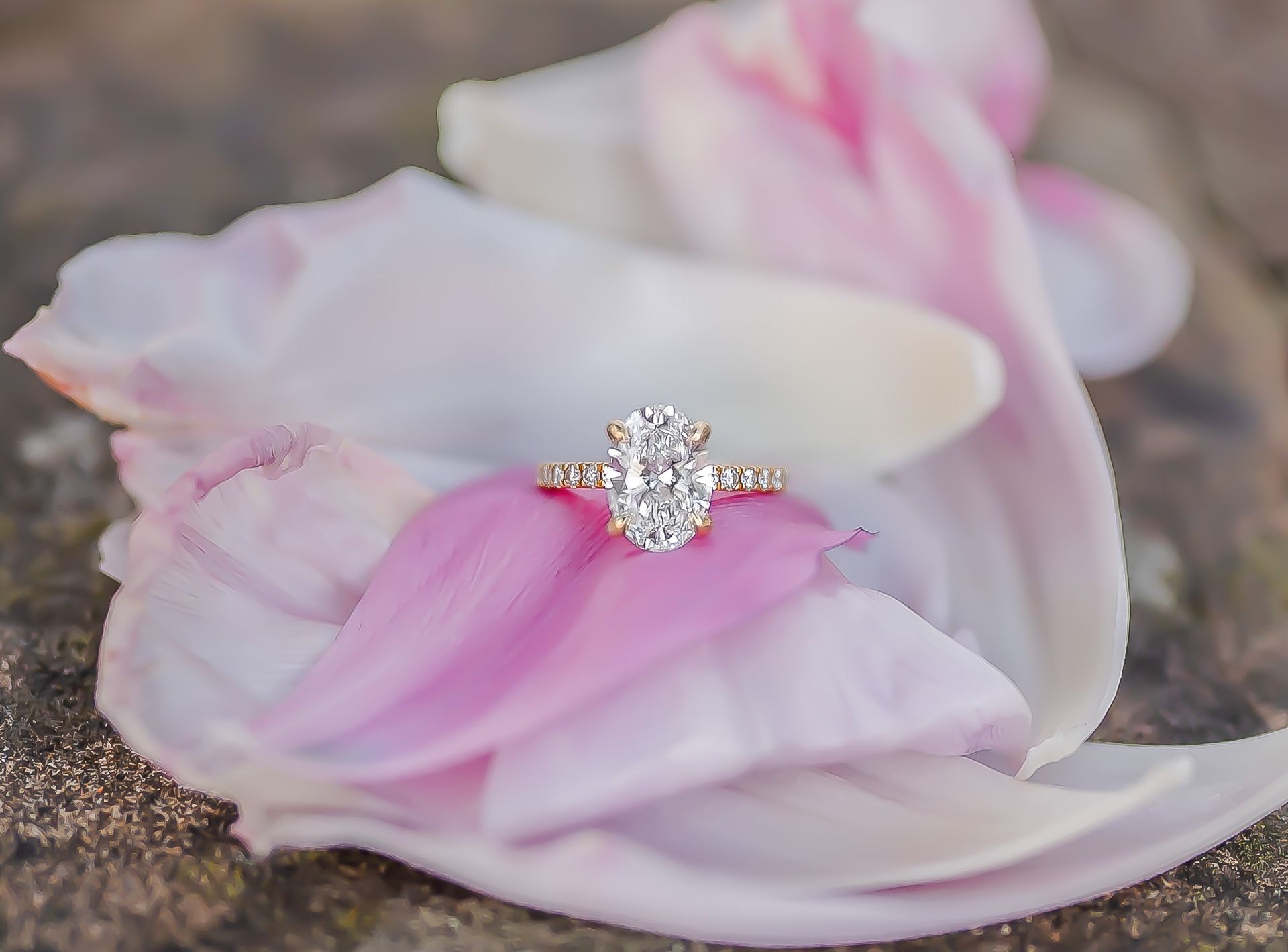 A diamond ring is sitting on top of a pink flower petal.