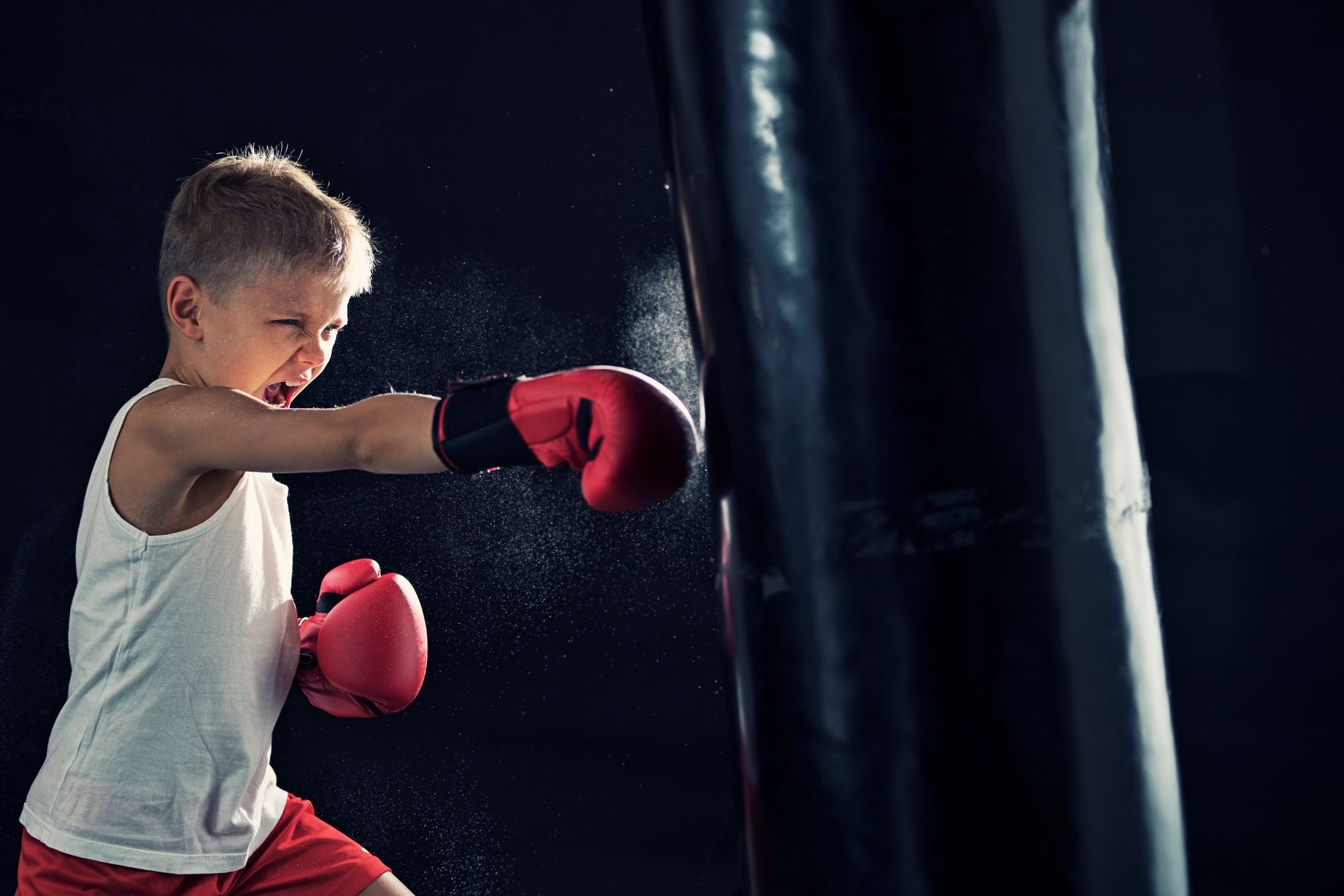 Boxing Training