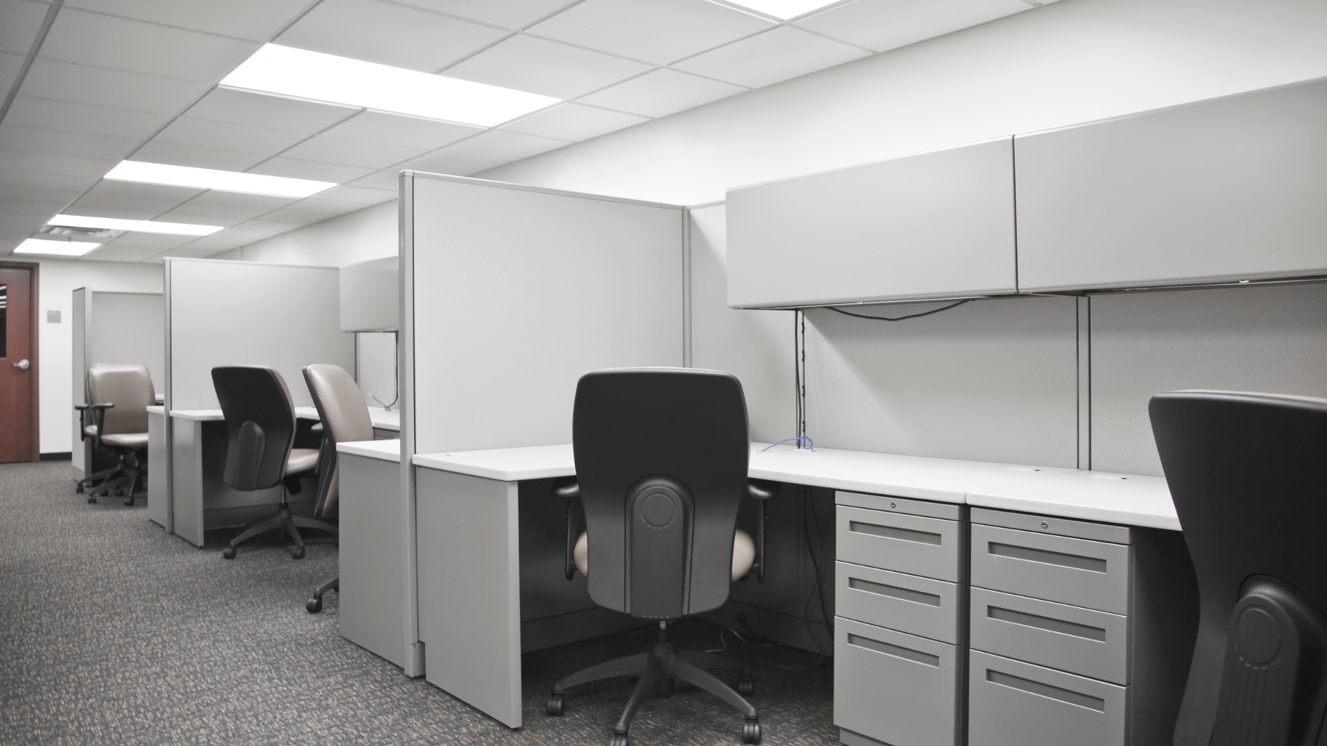 A row of cubicles in an office with black chairs