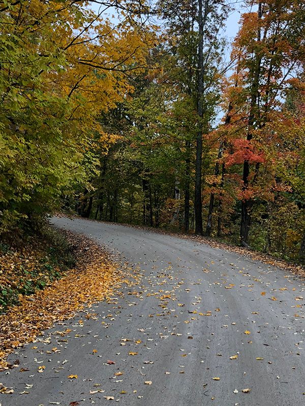 autumn nature trail
