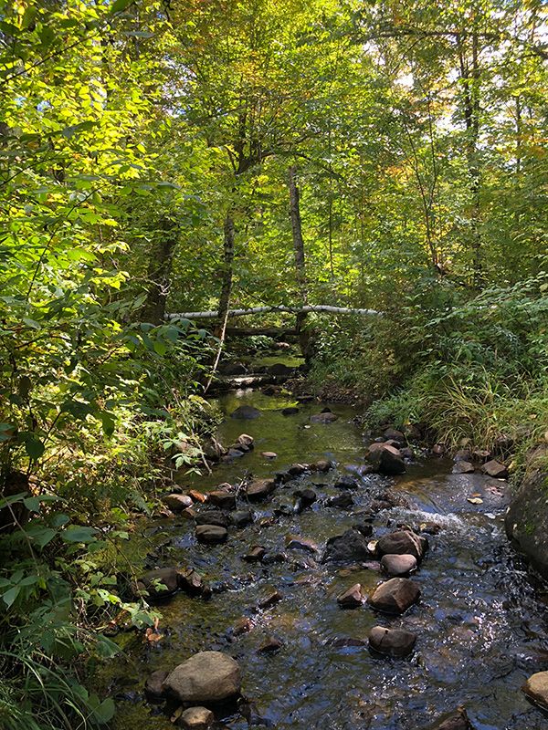 creek