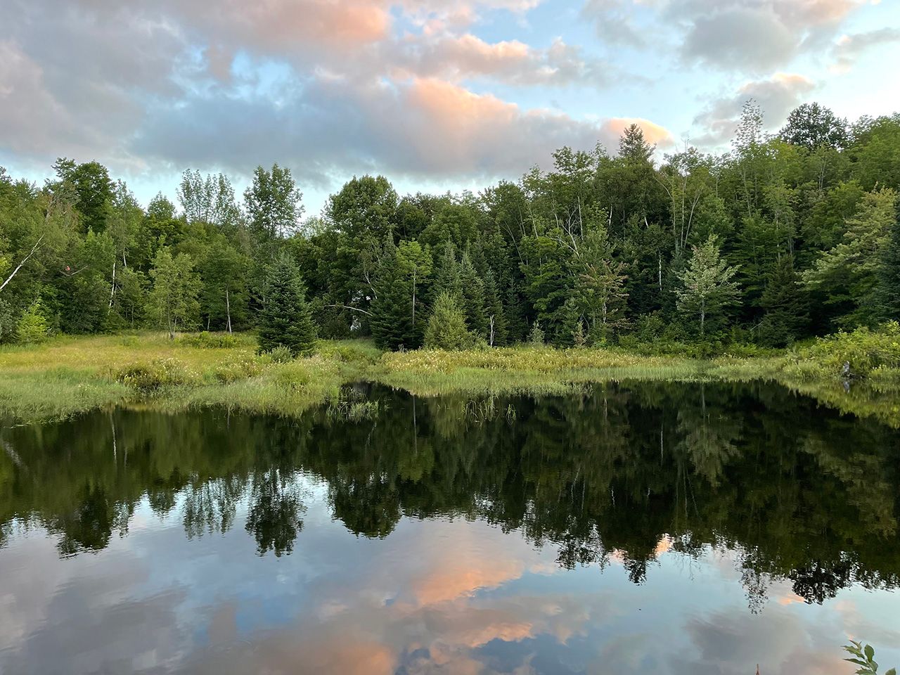 beaver pond