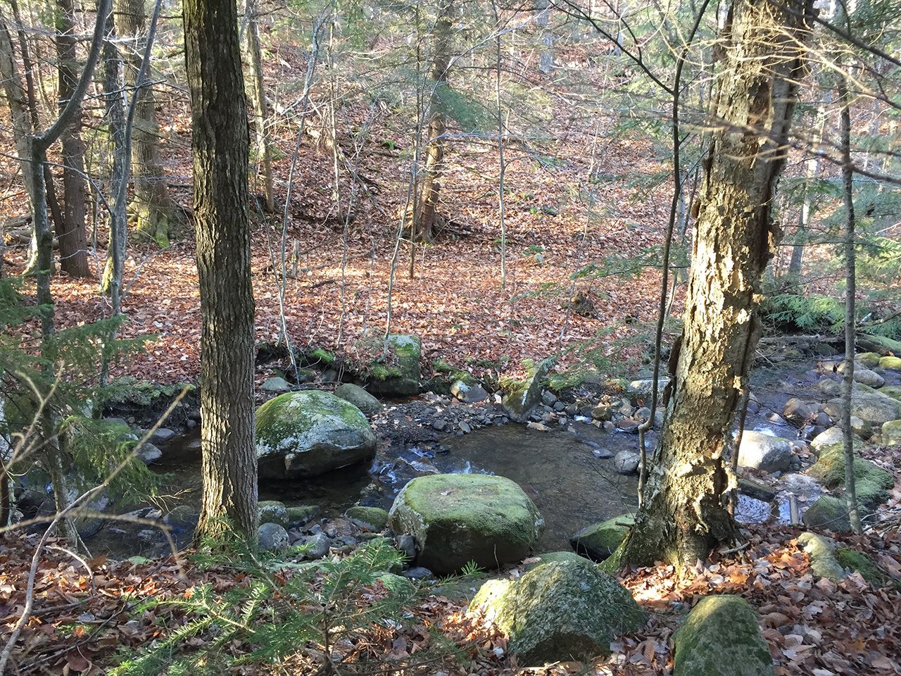 creek