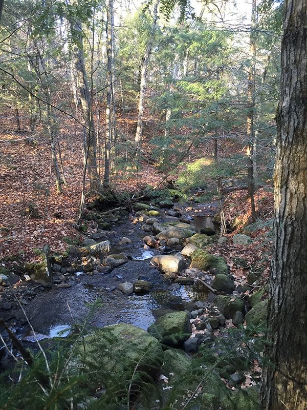 creek