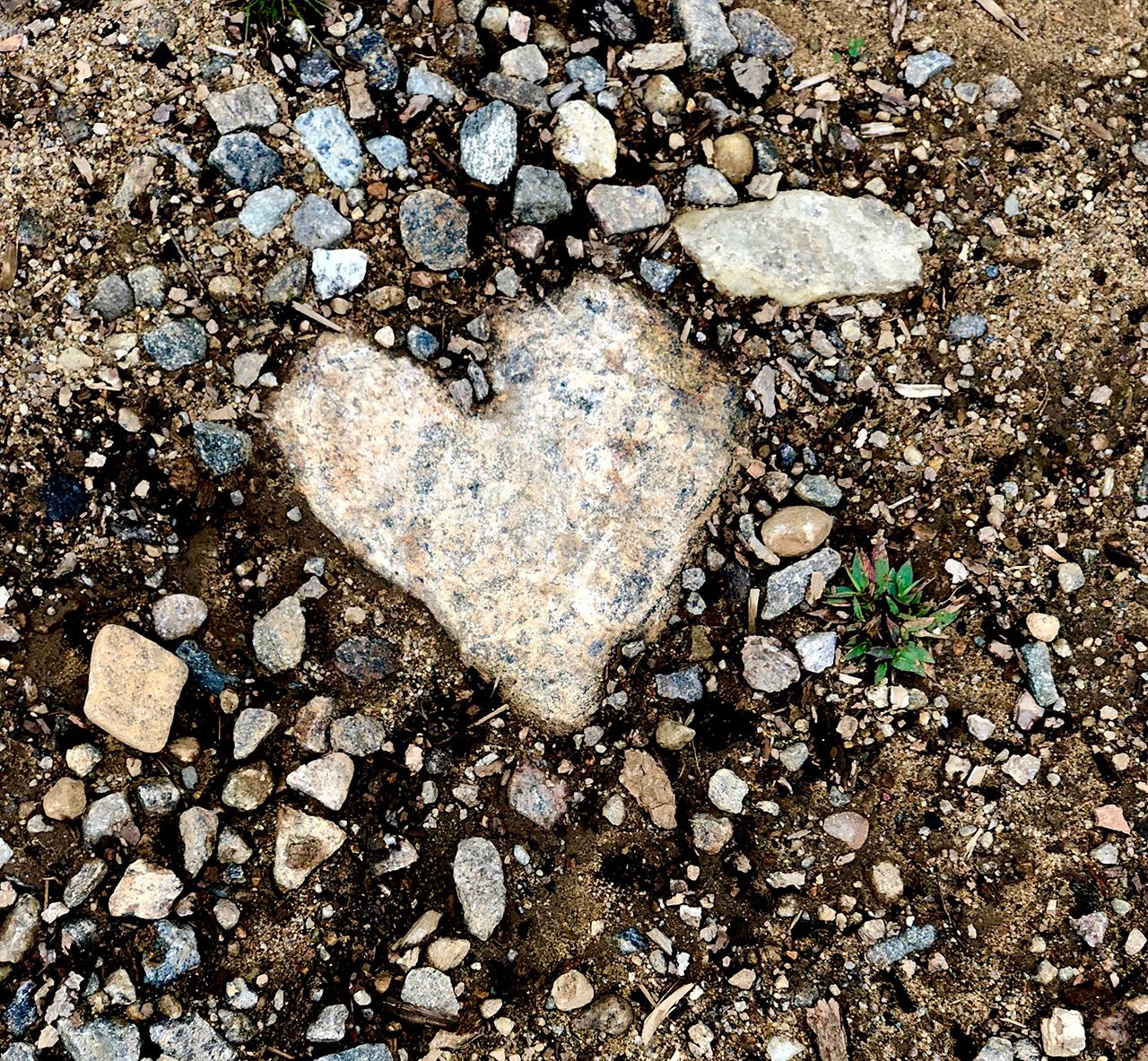 heart shaped rock