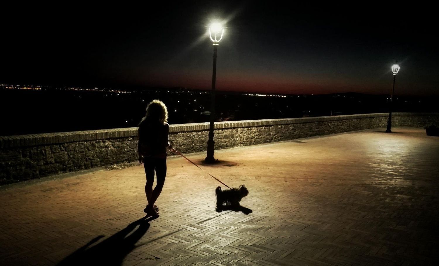 A woman is walking a small dog on a leash at night