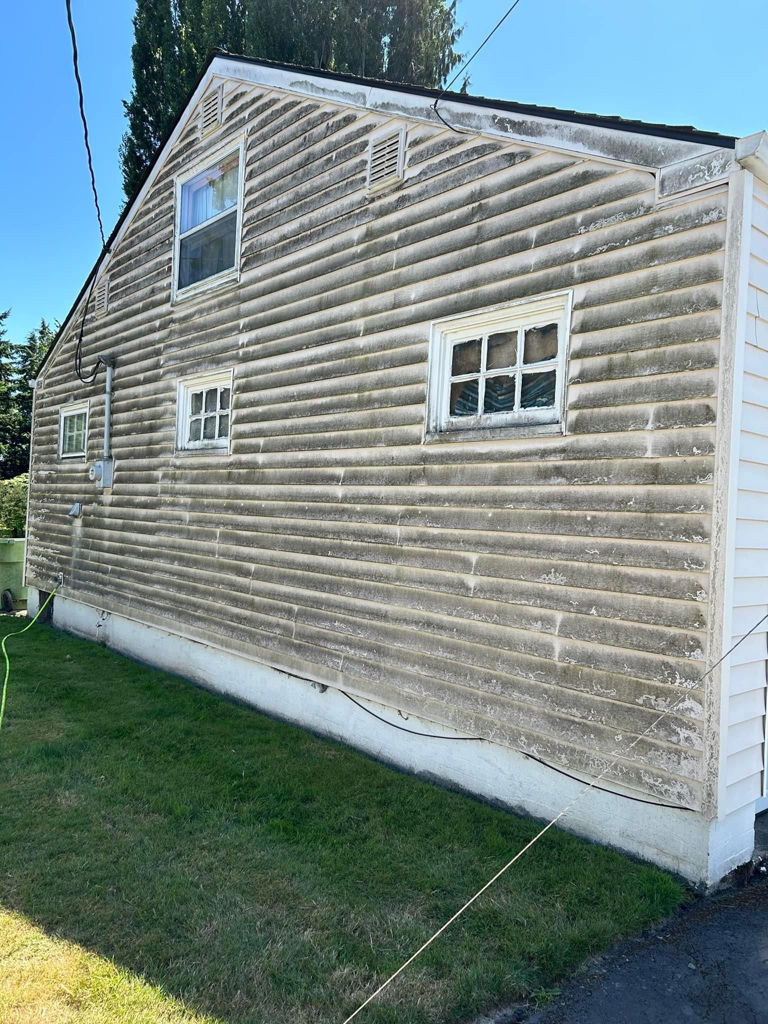 Side view of a weathered light-colored house with green algae on siding multiple windows 