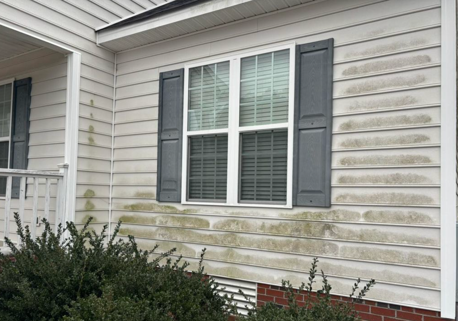 house siding with window covered in mold
