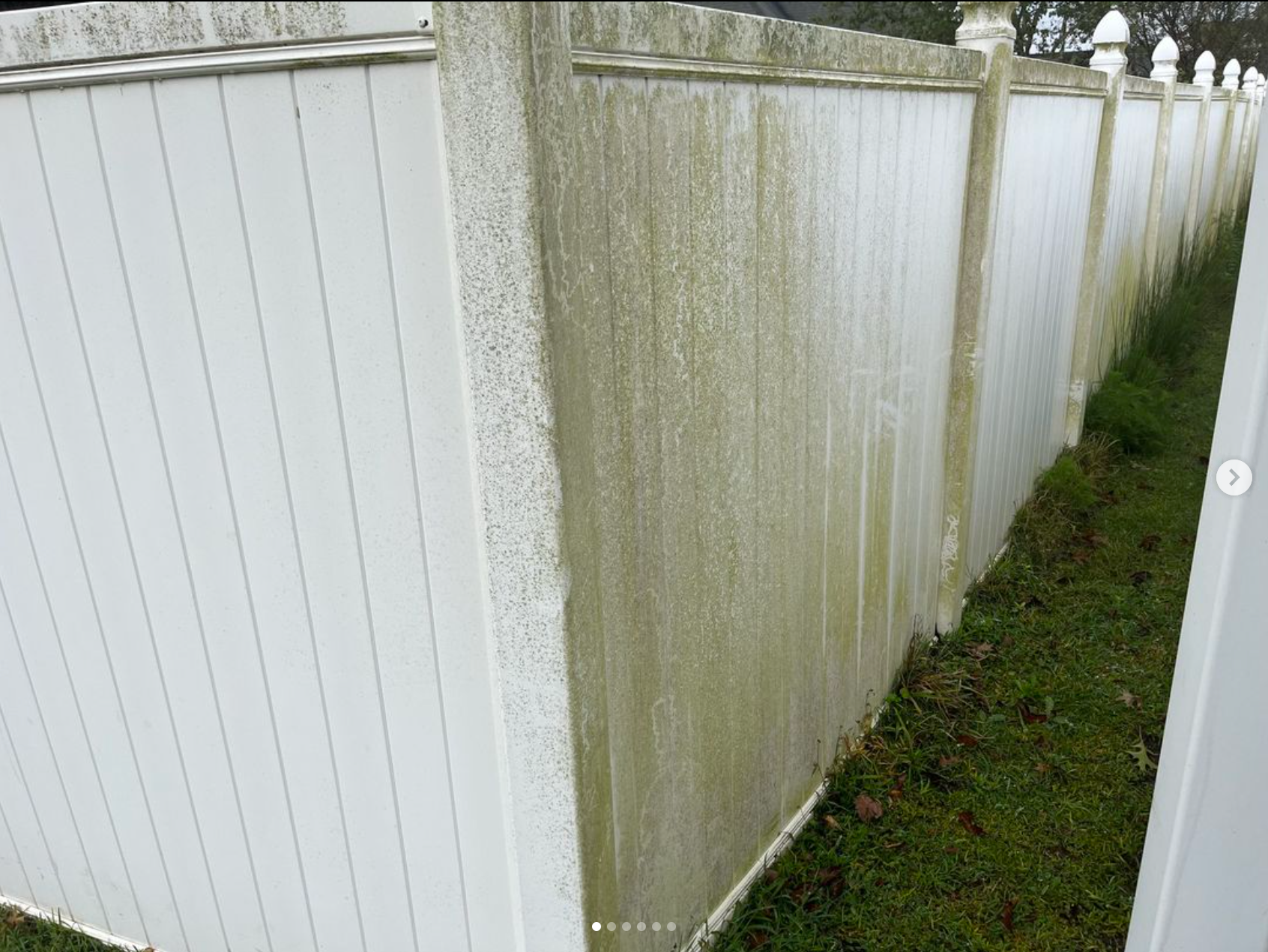 A white fence with green algae growing on it.