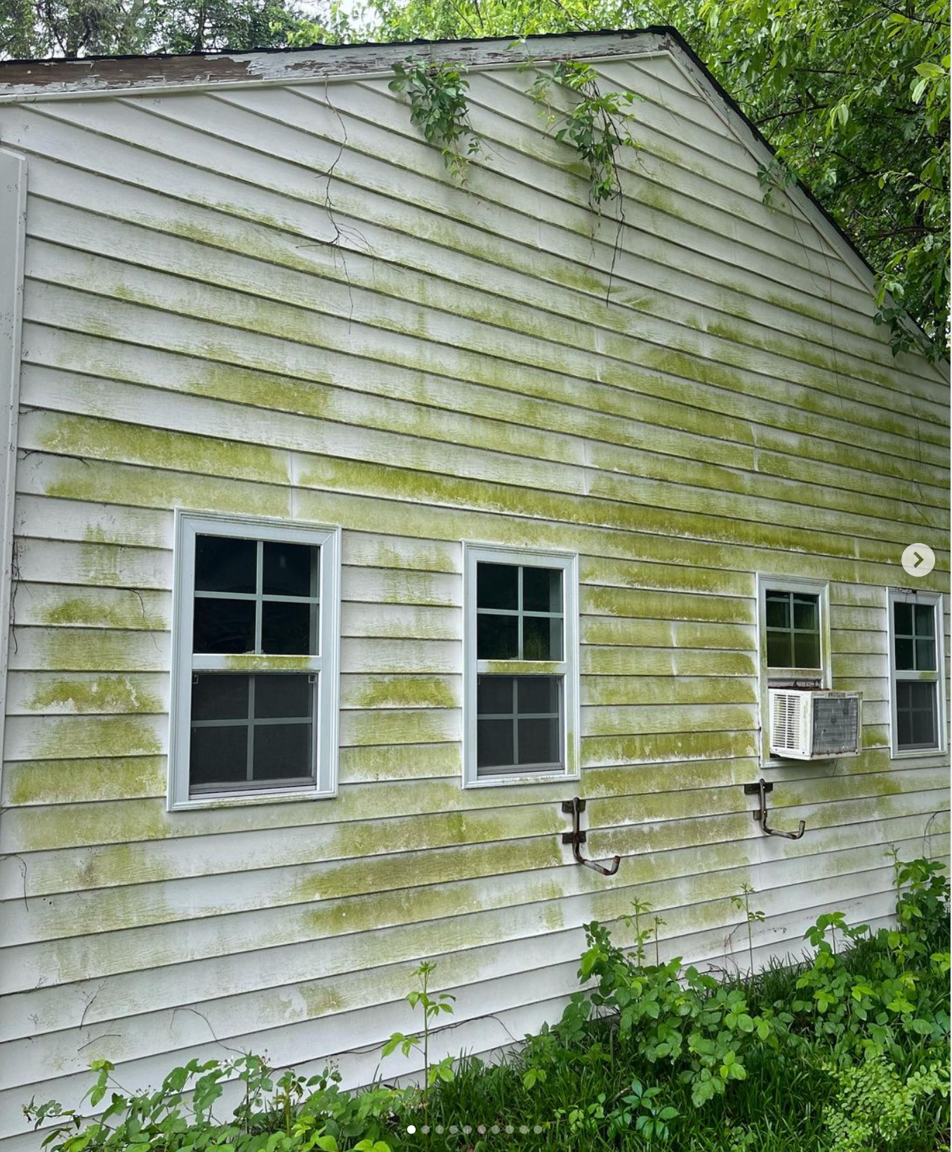 A white house with green moss growing on the side of it.