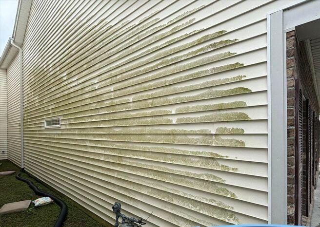 A house with a lot of green algae on the side of it.