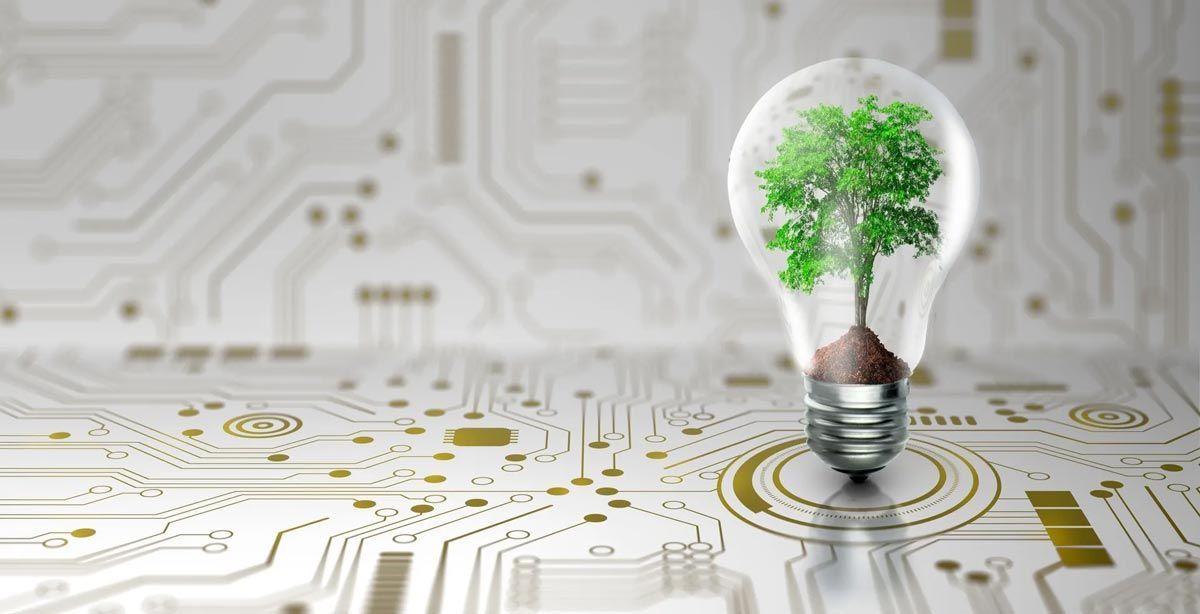 A lightbulb with a tree inside, on a circuit board background, promoting green technology.