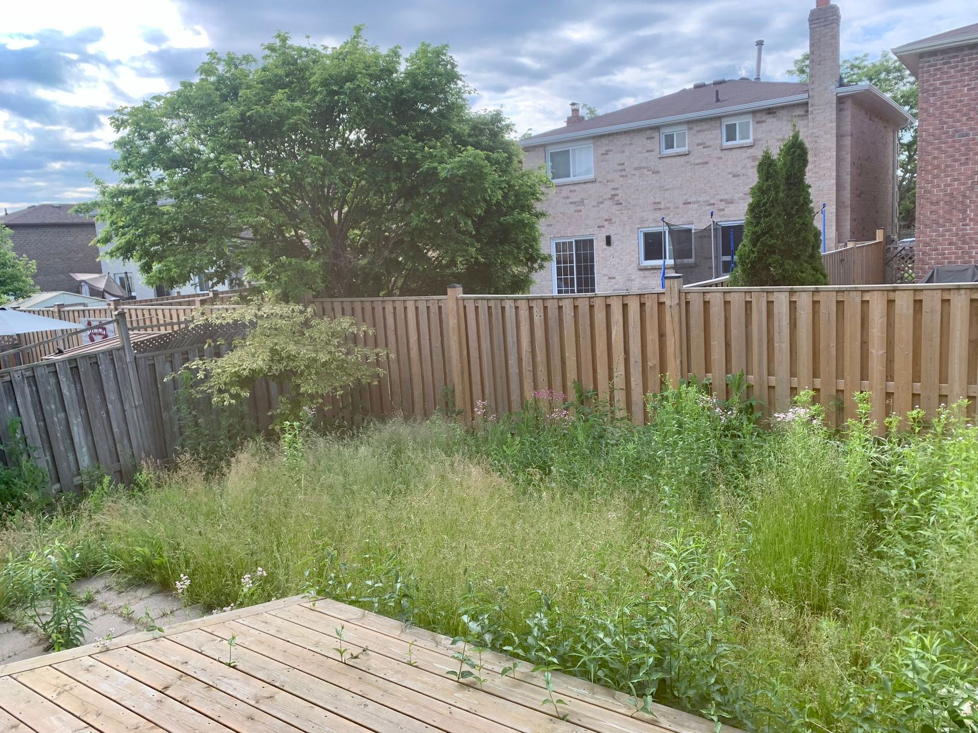 A backyard with a wooden deck and a wooden fence and overgrown grass