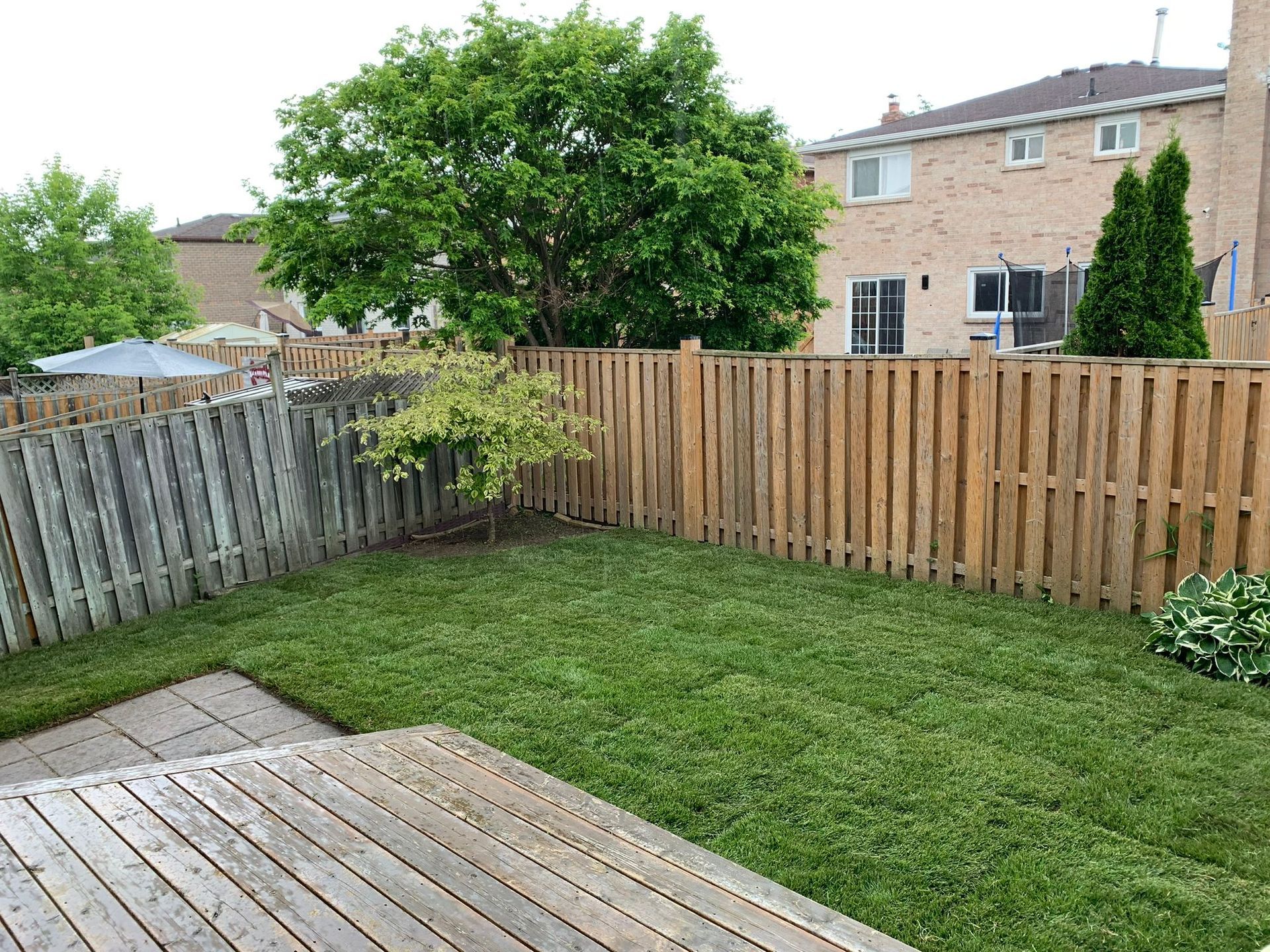 A backyard with a wooden fence and a wooden deck and fresh cut lawn